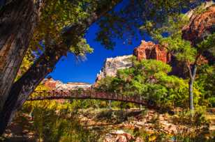 Zion Canyon, Fall-4384